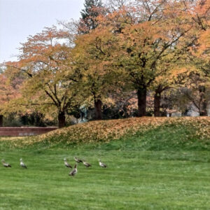 20241110_kh_salinental_02